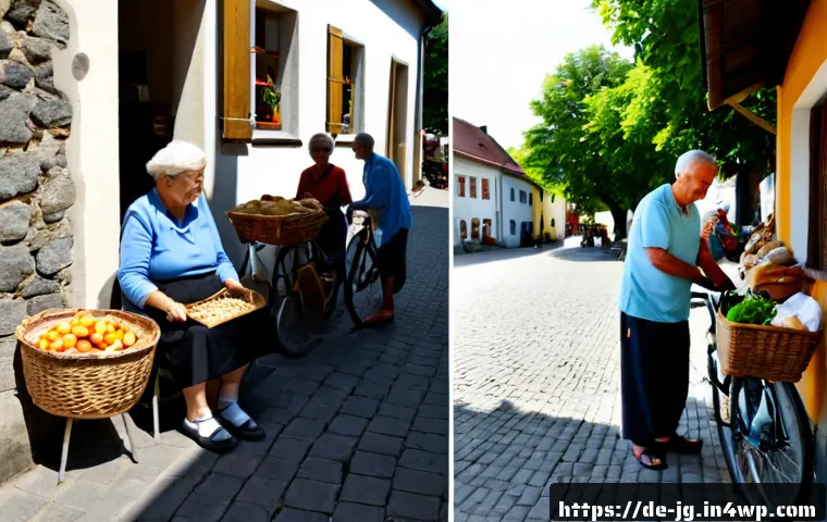 전통적 경제와 호혜적 교환 시스템의 차이 - Photorealistic split-scene comparison in a German village setting: on the left, a small traditional ...